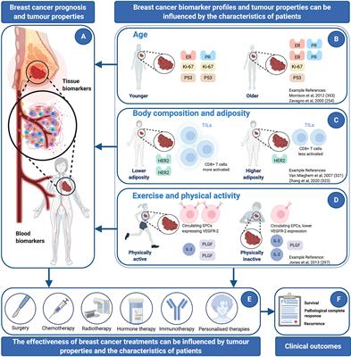 A Phenomic Perspective on Factors Influencing Breast Cancer Treatment: Integrating Aging and Lifestyle in Blood and Tissue Biomarker Profiling